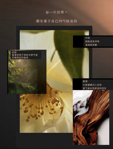 2d560fd0c9a1.jpg