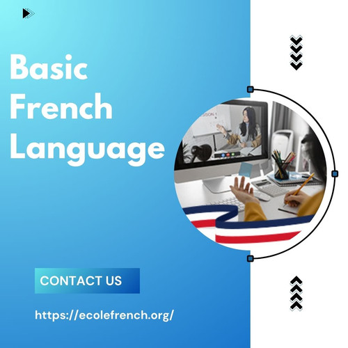 Why Learning the Basic French Language Is Important for Beginners.jpg