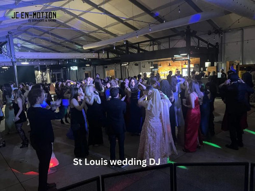 Professional St Louis Wedding DJ for Your Special Day.jpg