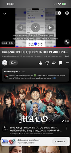 IMG 5896.png