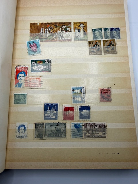 IMG 0597.jpg