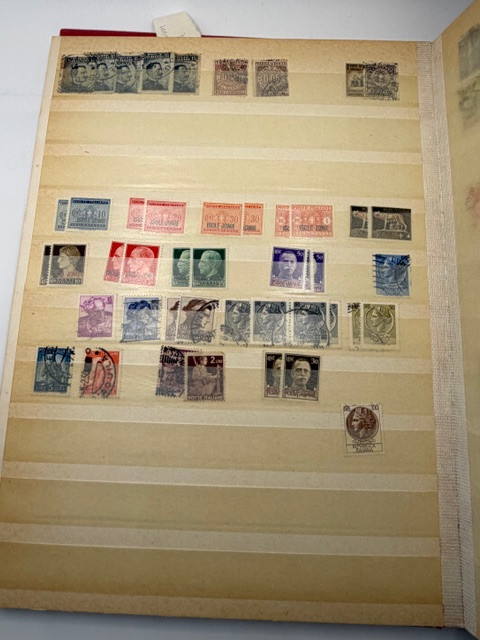 IMG 0617.jpg