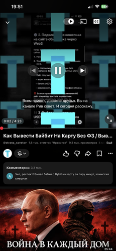 IMG 5899.png