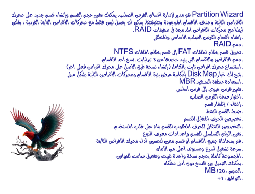 abdo free regular transparent.png