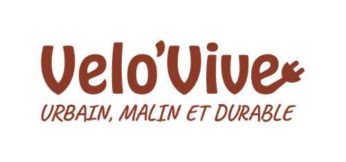 logo velovive horizontal couleur.png