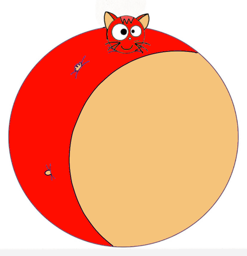 1000244259.png