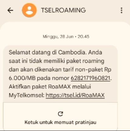 roming.jpg