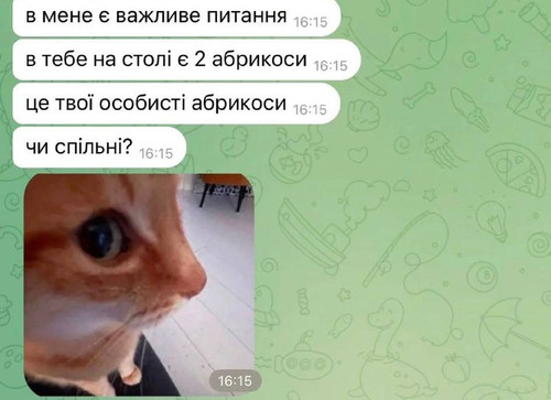 file 366.jpg