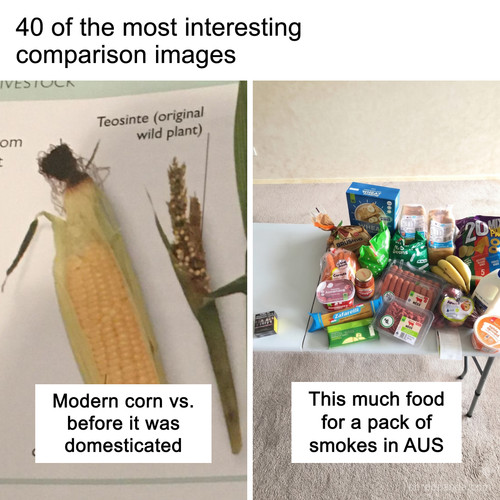 interesting comparisons.jpg