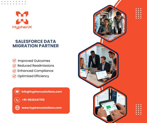 Salesforce Data Migration Partner.jpg