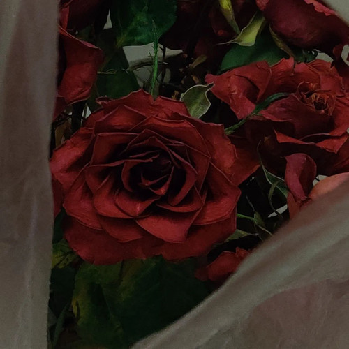 IMG 20260708 162006 773.jpg