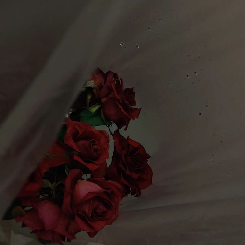 IMG 20260708 162006 711.jpg