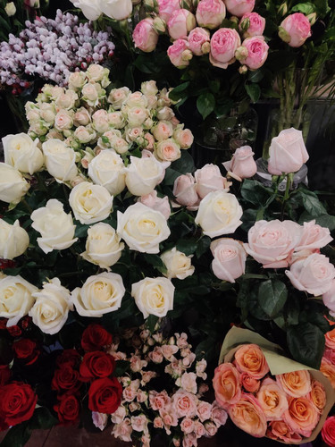 IMG 20260708 161953 646.jpg
