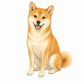 8. いぬ（犬）— anjing