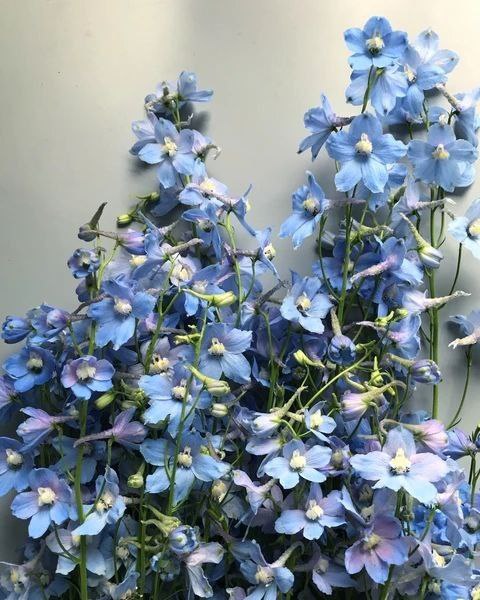 IMG 20260708 161619 959.jpg