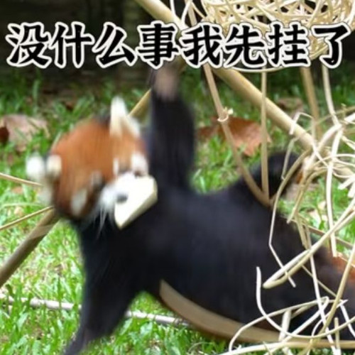Image 1783499468873 146.jpg
