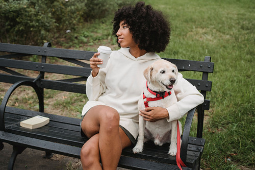 Small Dog Breeds in India - My Pet Care Guide.jpg