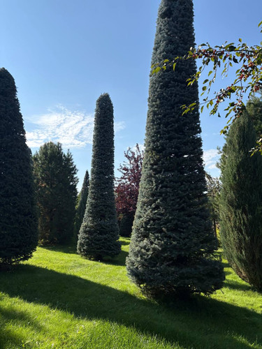 IMG 20260707 195600 739.jpg