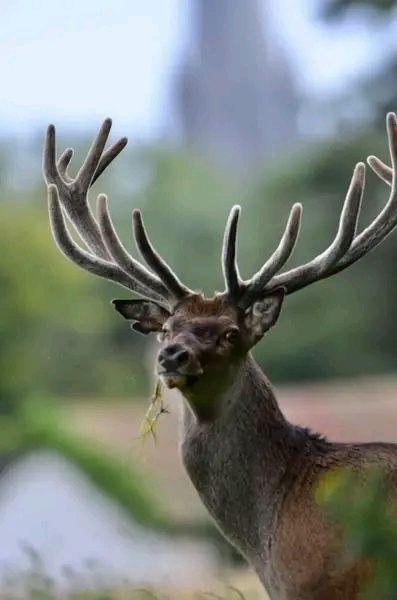 IMG 20260708 163134 619.jpg