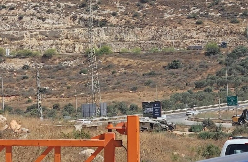 صورة الخبر