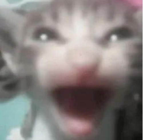 Screenshot 2026 07 03 11 17 53 96 e39d2c7de19156b0683cd93e8735f348.jpg