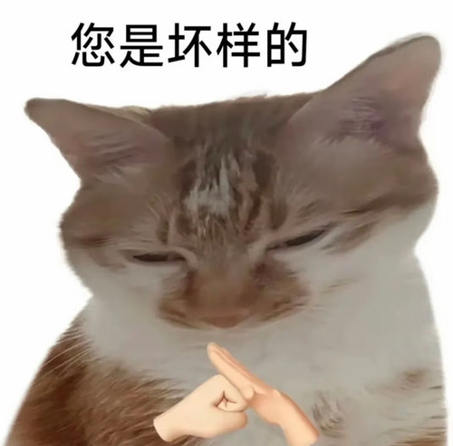 Screenshot 2026 07 09 12 02 24 42 a2db1b9502c98f25523e43284b79cce6.jpg