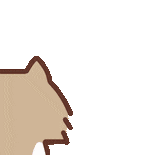mmexportd3b82c99e75968a205e9dda79a0b1923 1781248789196.gif