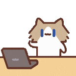 mmexport25b3c2c146ce1693eb618090c4ed13fe 1781248834082.gif