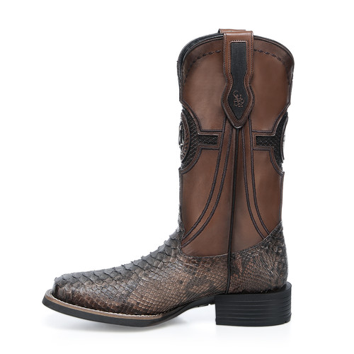 3Z2SPH MIEL piton reticulatus back maverick cafe bota 02 13 copia.jpg
