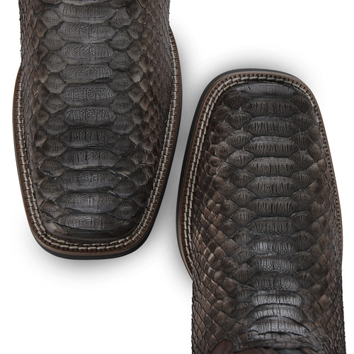 3Z2SPH MIEL piton reticulatus back maverick cafe puntas.jpg