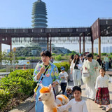 五一 (7)