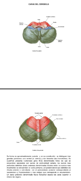 temp.png