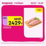 Magnum 1440x1440 1 tov (41)