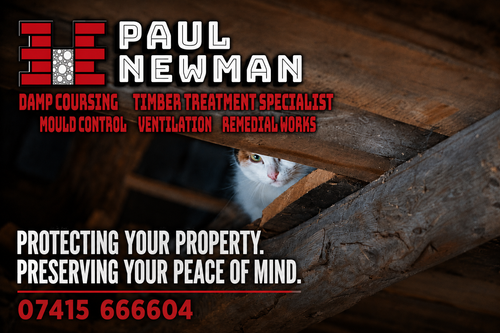Hidden Timber Problems Protect Your Property with Expert Timber Treatment.png