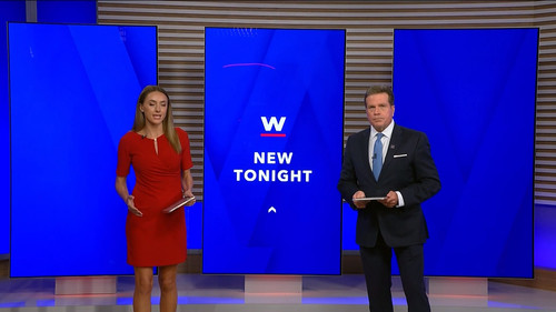 08.22 04.00.00 WINK News at 11 ᴺᵉʷ. Local and regional news..ts snapshot 06.35.627