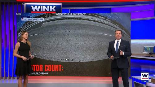 08.20 04.00.00 WINK News at 11 ᴺᵉʷ. Local and regional news..ts snapshot 06.55.723.jpg