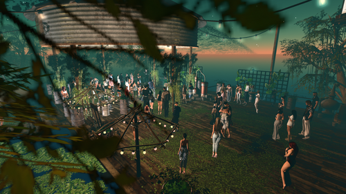 Moonshiner (26 08 2026)png 2026 08 26 20134601.png