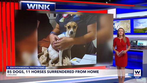 08.21 22.00.00 WINK News at 5pm ᴺᵉʷ. Stay informed with the late....ts snapshot 00.38.27.522.jpg