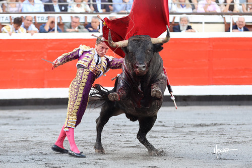 215A0656