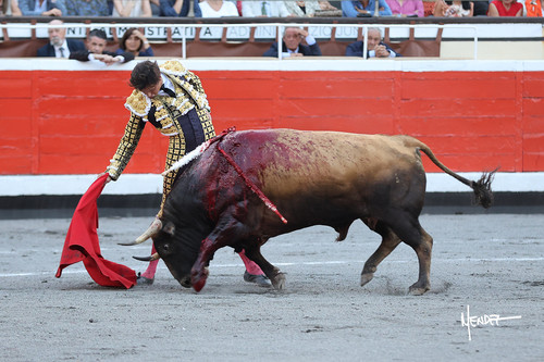 215A2089
