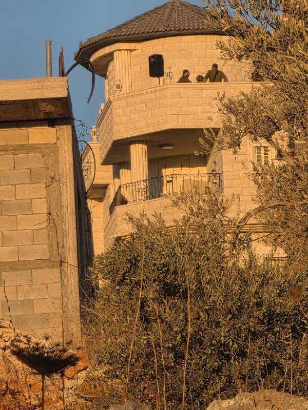 صورة الخبر