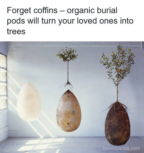 biodegradable burial pod memory forest capsula mundi.jpg