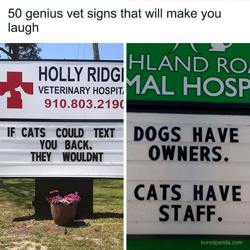 funny signs.jpg