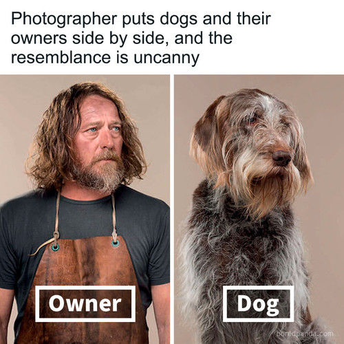 animals photography art.jpg