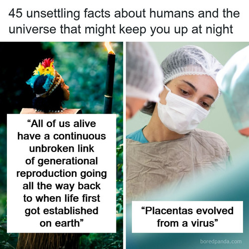 universe facts.jpg