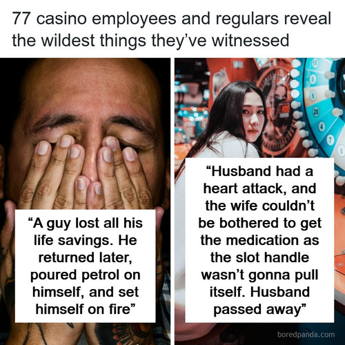 wildest things seen casino.jpg