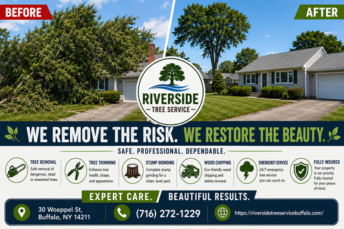 we remove the risk, we restore the beauty.png