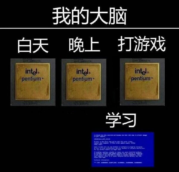 程序员反应图:我的大脑