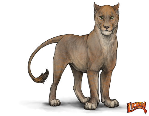lioden wardrobe (1).png