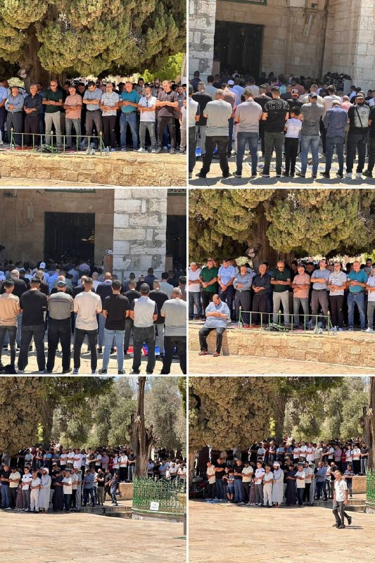 صور| عشرات الآلاف من المصلين يؤدون صلاة الجمعة في المسجد الأقصى المبارك رغم عراقيل الاحتلال....